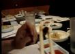 Fried Seaweed At Suhrabal Restaurant Video
